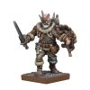 Mantic Games - Kings of War: Vanguard - Northern Alliance - Warband Set - Image 7