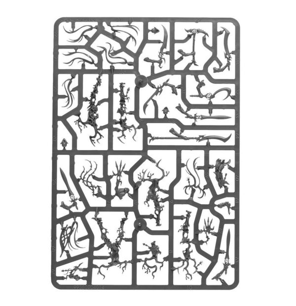 Games Workshop - Age of Sigmar - Sylvaneth - Tree Revenants - Image 7