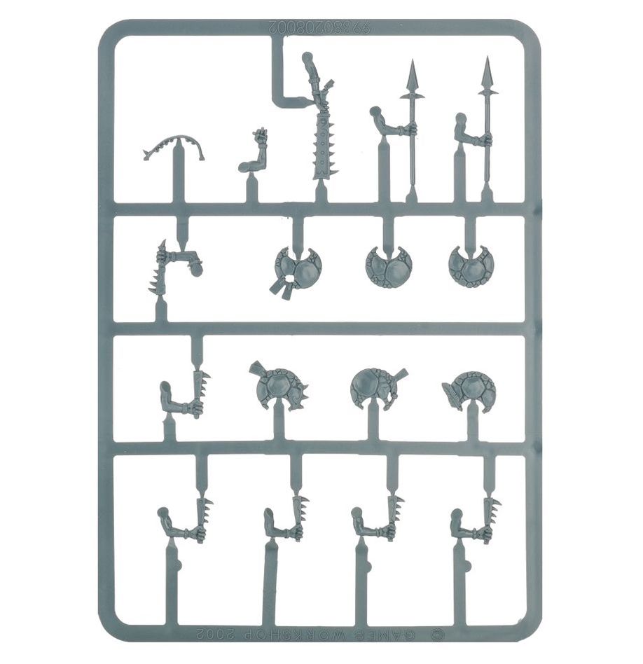 Games Workshop - Warhammer Age of Sigmar - Seraphon - Skinks - Image 5