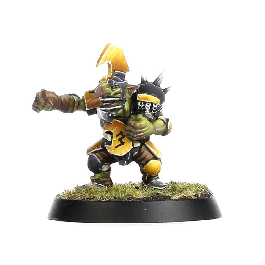 Games Workshop - Blood Bowl - Goblin Team: Scarcrag Snivellers - Image 9