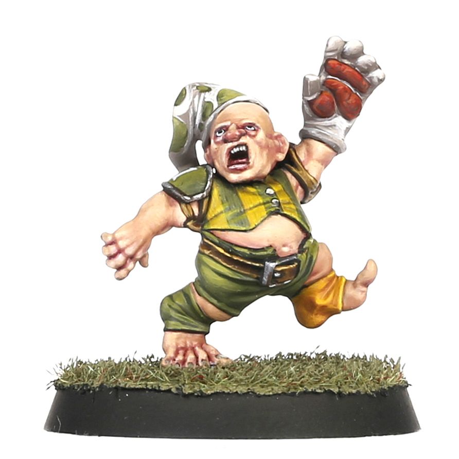 Games Workshop - Blood Bowl - Halfling Blood Bowl Team – Greenfield Grasshuggers - Image 5