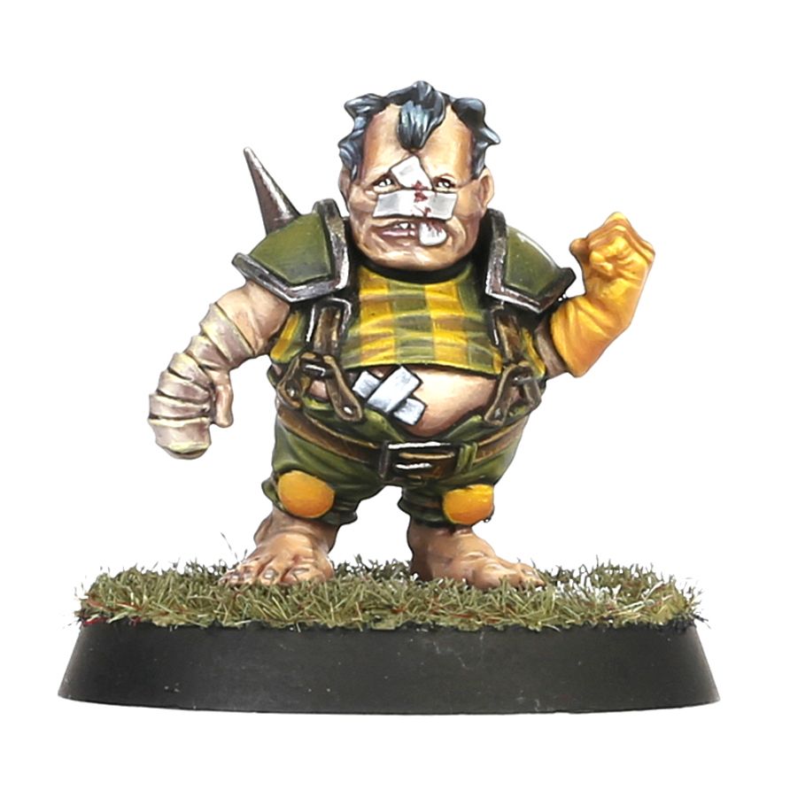 Games Workshop - Blood Bowl - Halfling Blood Bowl Team – Greenfield Grasshuggers - Image 6