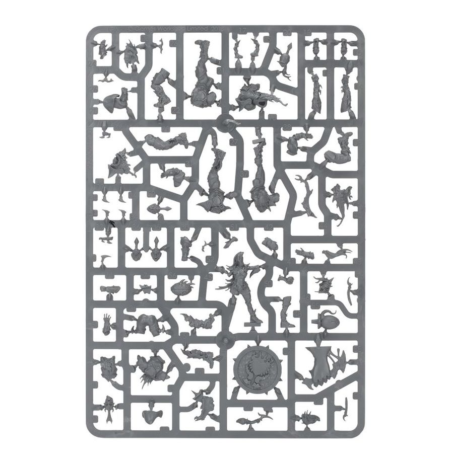 Games Workshop - Blood Bowl - Dark Elf Blood Bowl Team – Naggaroth Nightmares - Image 7
