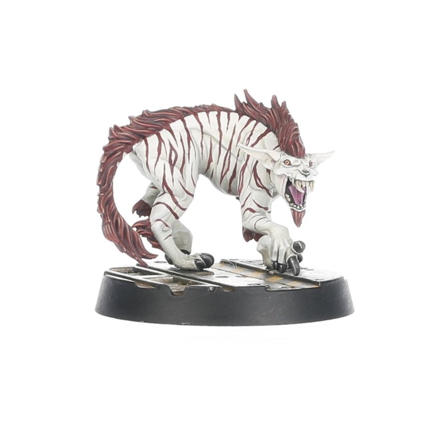 Games Workshop - Warhammer - Necromunda - Escher Gang Matriarchs & Phyrr Cats - Image 5